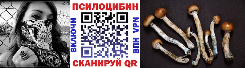 как найти   Томари  Галлюциногенные грибы Psilocybe 